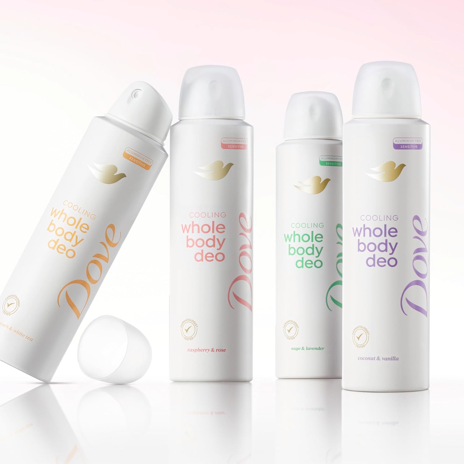 Dove Whole Body Deodorant Raspberry & Rose Travel-Size Spray for Camping, Patio Days, and Hiking Trips
