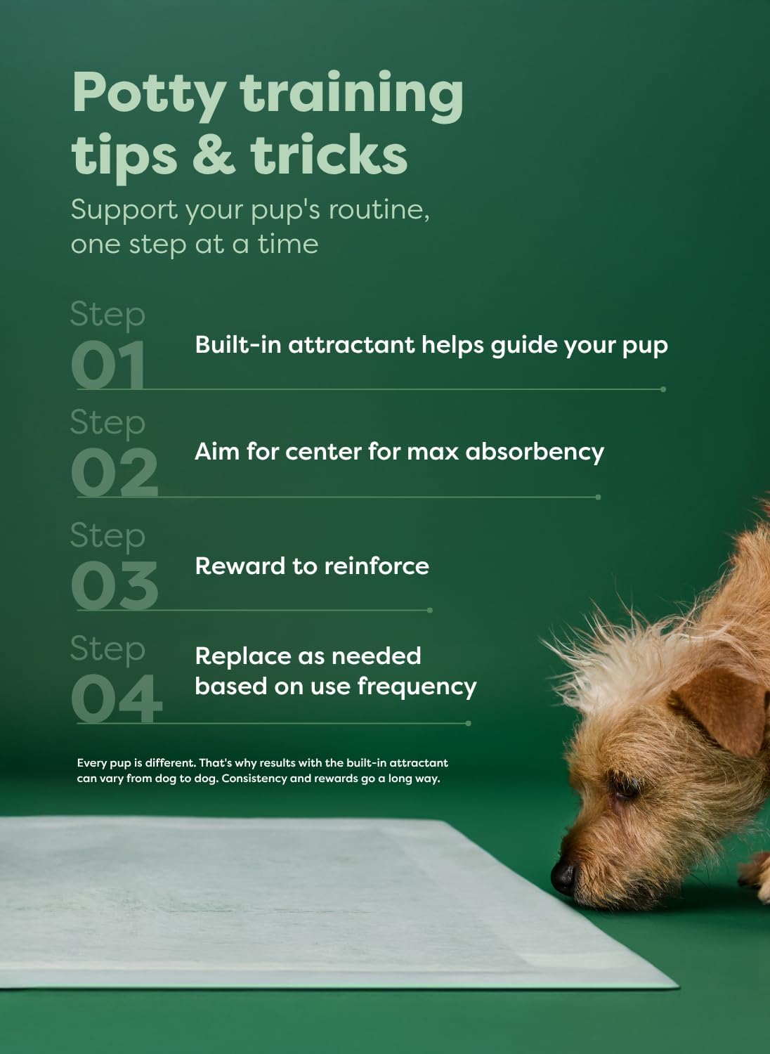Earth Rated XL Dog Pee Pads – Stress-Free Indoor Relief for Senior Dogs with Bladder Issues