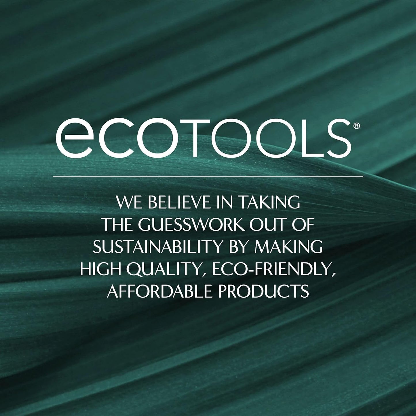 EcoTools Dry Body Brush – Effortless Dry Brushing Tool for Modern Minimalist Homes, Complements Neutral Decor