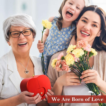 Emibele Preserved Rose with Heart Necklace – Ready-to-Give Birthday Gift for Her, Valentine's Day Flower and Jewelry Combo
