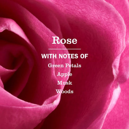 essential-oil-based fragrances across garden and seasonal scent profiles (rose, lavender, basil, lemon verbena, apple cider, etc.)