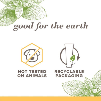 essential-oil-derived zen peppermint and mountain mint flavor variants