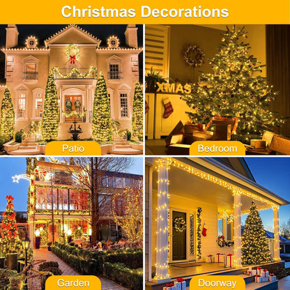 Family Christmas Tree LED Lights, Pet and Kid Safe Low Voltage Twinkle String Lights