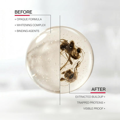 four essential oil actives combined with menthol and methyl salicylate for freshening