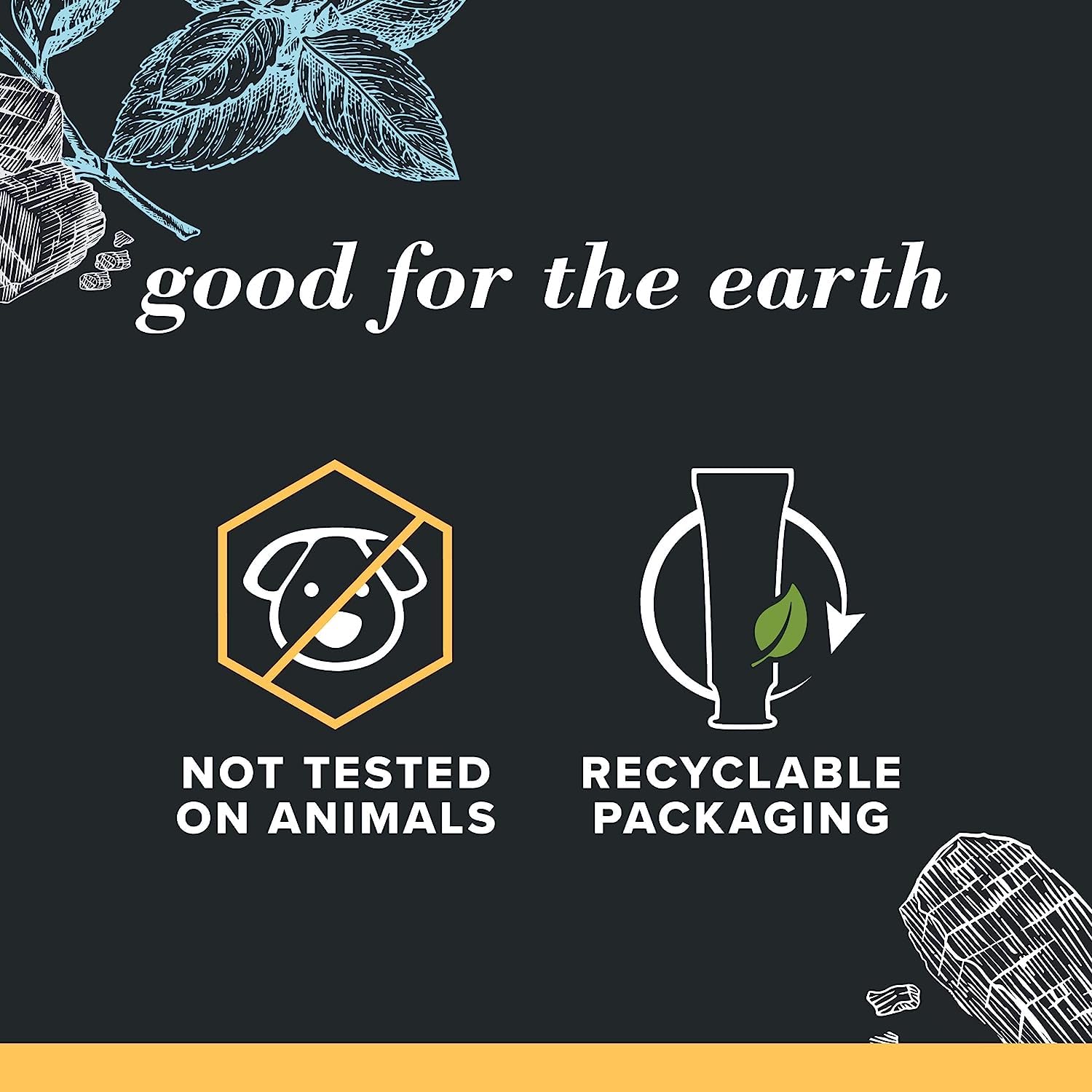 free-from formulation: no sls, no parabens, no triclosan, no artificial flavors or sweeteners, no preservatives, no artificial dyes, no plastic microbeads