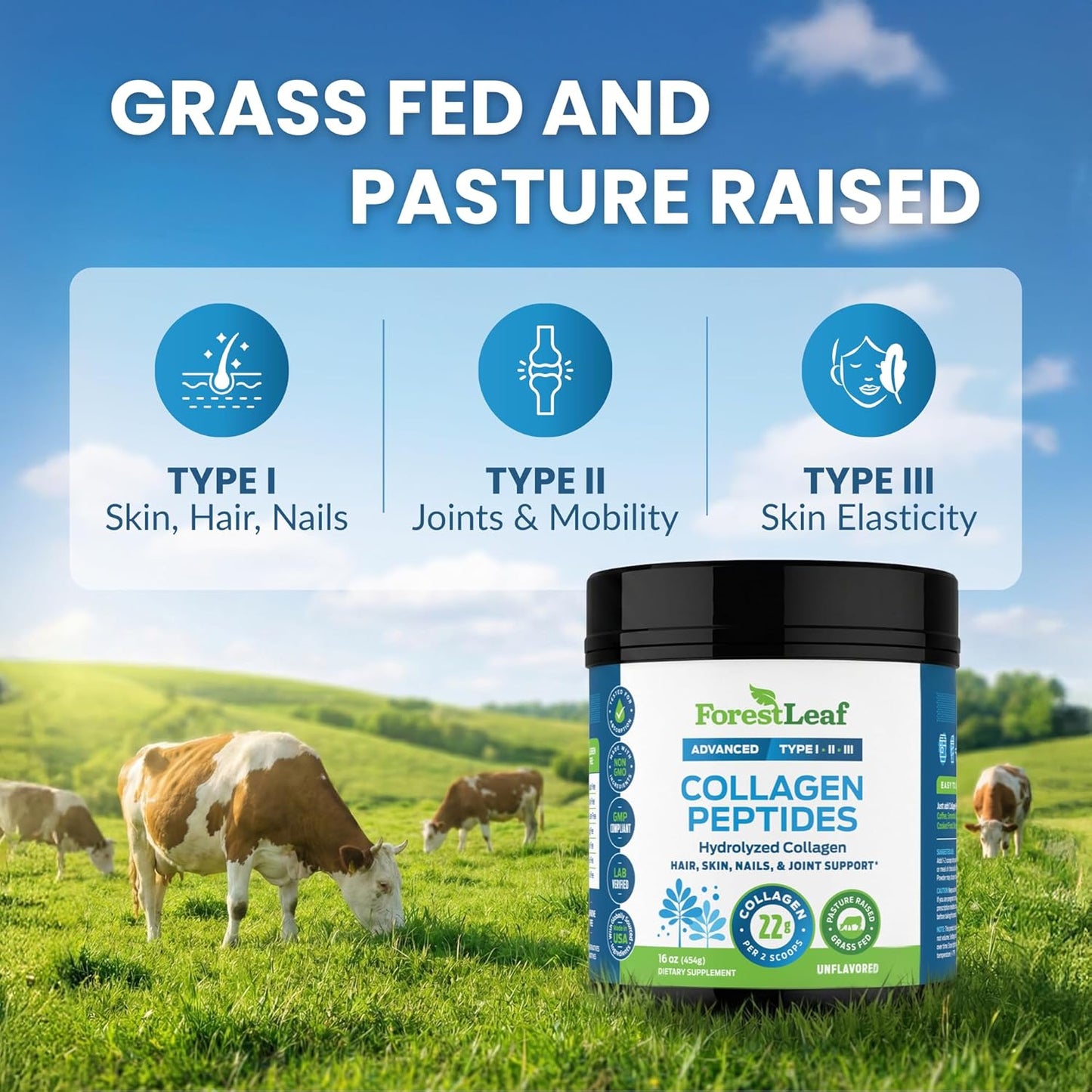 free from gluten, dairy, nuts, soy, fish, egg, sugar, and hormones