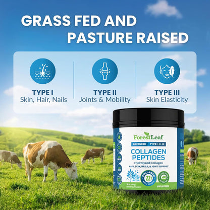 free from gluten, dairy, nuts, soy, fish, egg, sugar, and hormones