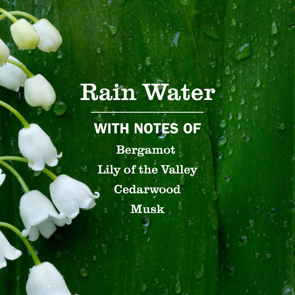 free of parabens, phthalates, mea, dea, sls, and artificial colors