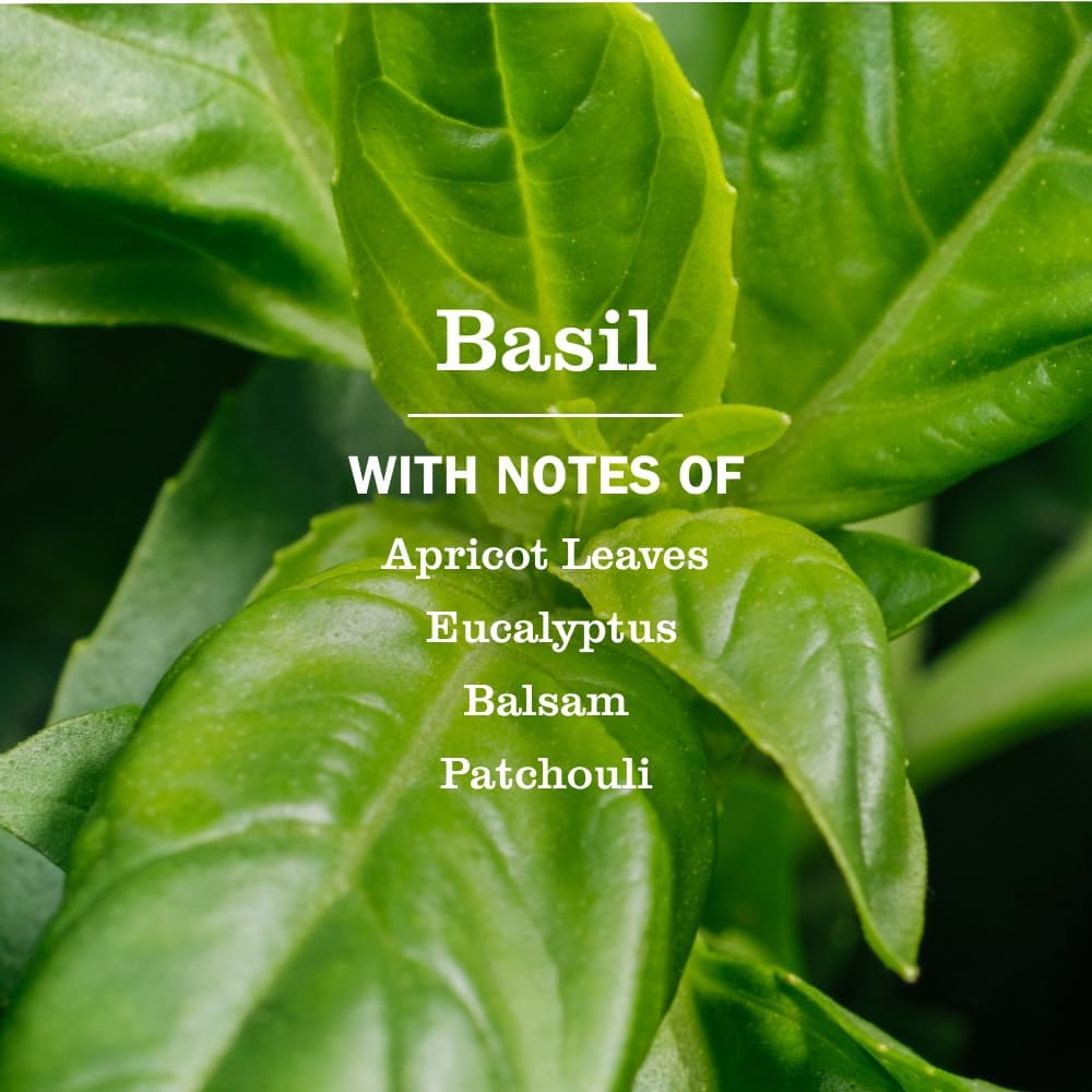 garden-fresh basil fragrance designed to be uplifting and grounding