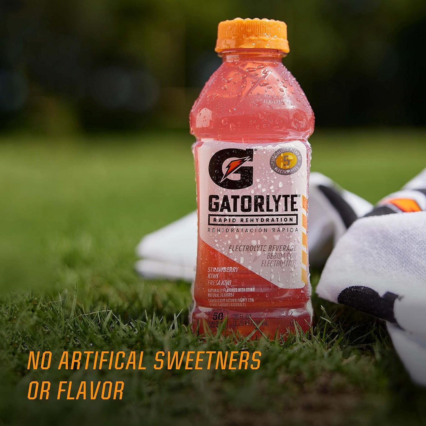 Gatorlyte Electrolyte Beverage – Daily Hydration Ritual for Wellness-Focused Adults, 5-Electrolyte Low-Sugar Variety Pack of 12