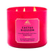 Cactus Blossom - 14.5 Oz (Pack of 1)
