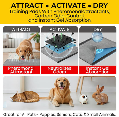 Glad for Pets Black Charcoal Puppy Pads - Odor-Control Wellness for Housebreaking, 23 x 23 in, 100 Count