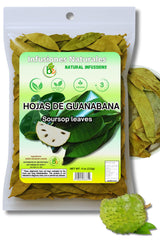 Guanábana Hojas Soursop Leaf Tea – Clean-Label Loose-Leaf Herbal Tea for Intentional Living