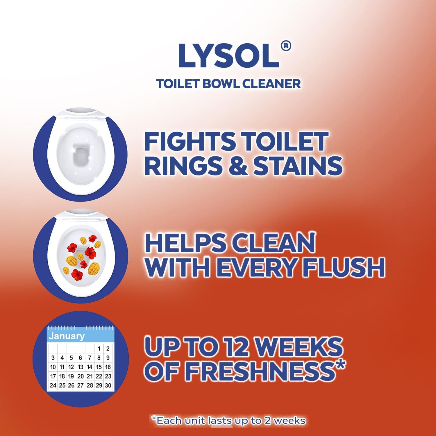 hangs on the inside of the toilet bowl for automatic dispensing with every flush