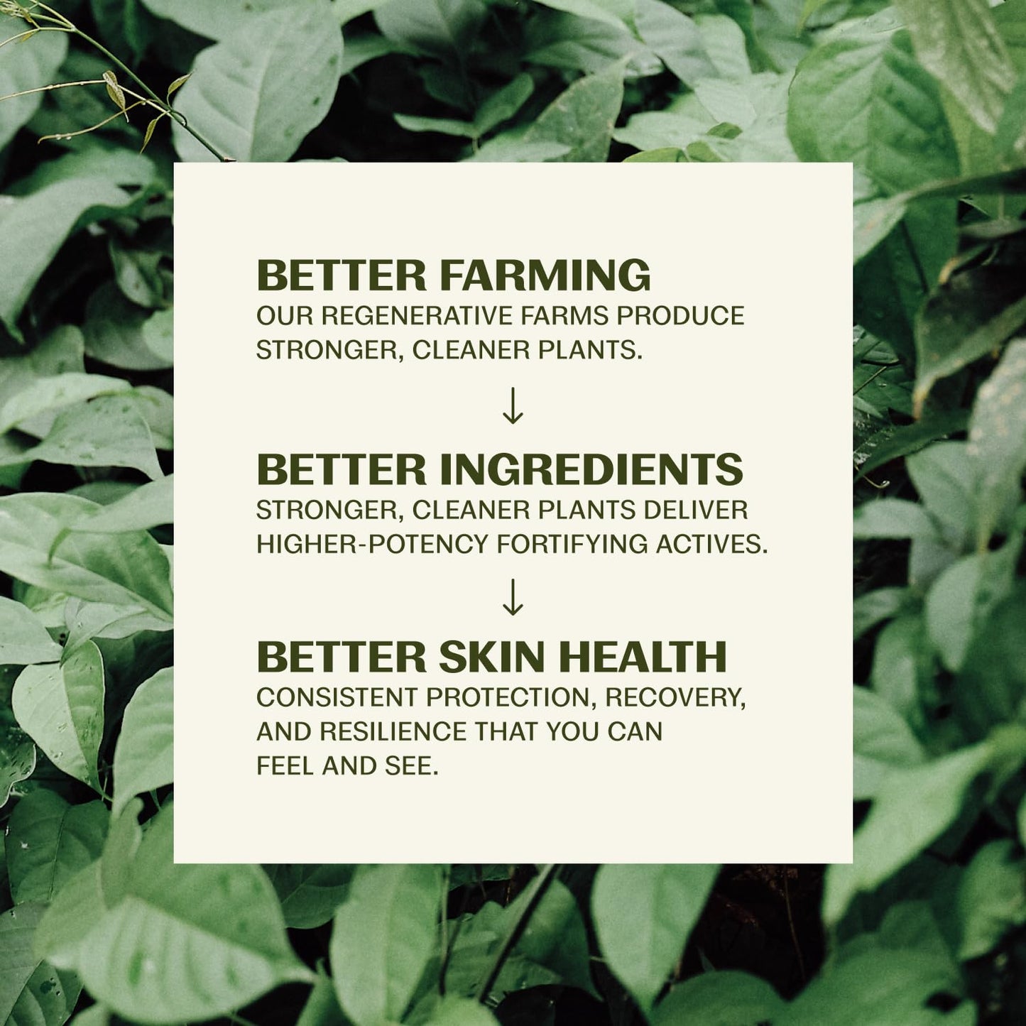 hawaii 104 reef act compliant formulation free of oxybenzone and octinoxate