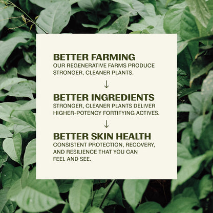 hawaii 104 reef act compliant formulation free of oxybenzone and octinoxate