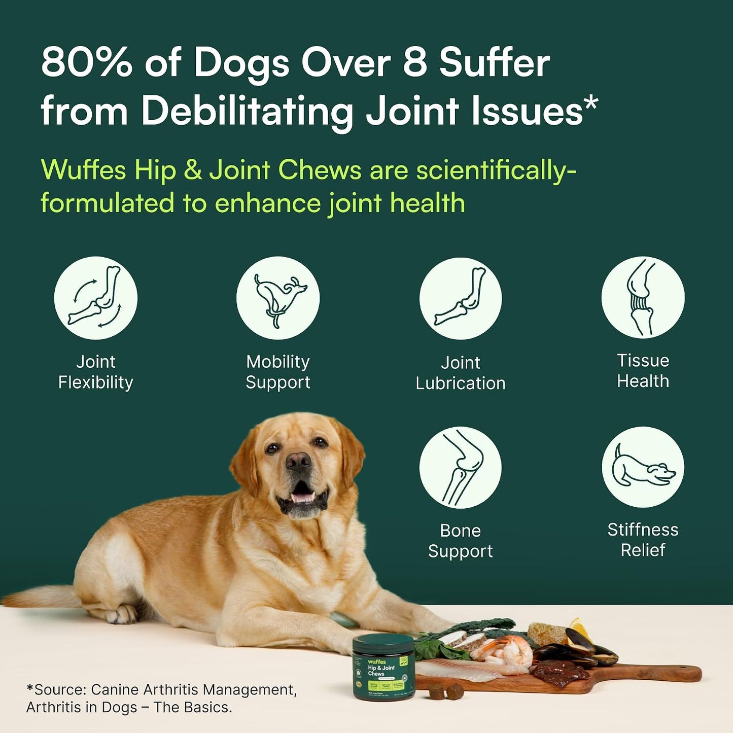 Highly Digestible Joint Chews for Large Dogs – Gentle Formula for Sensitive Stomachs