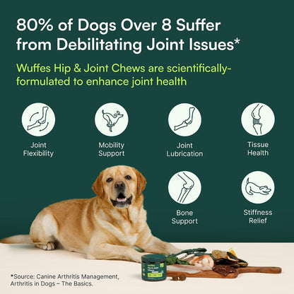 Highly Digestible Joint Chews for Large Dogs – Gentle Formula for Sensitive Stomachs