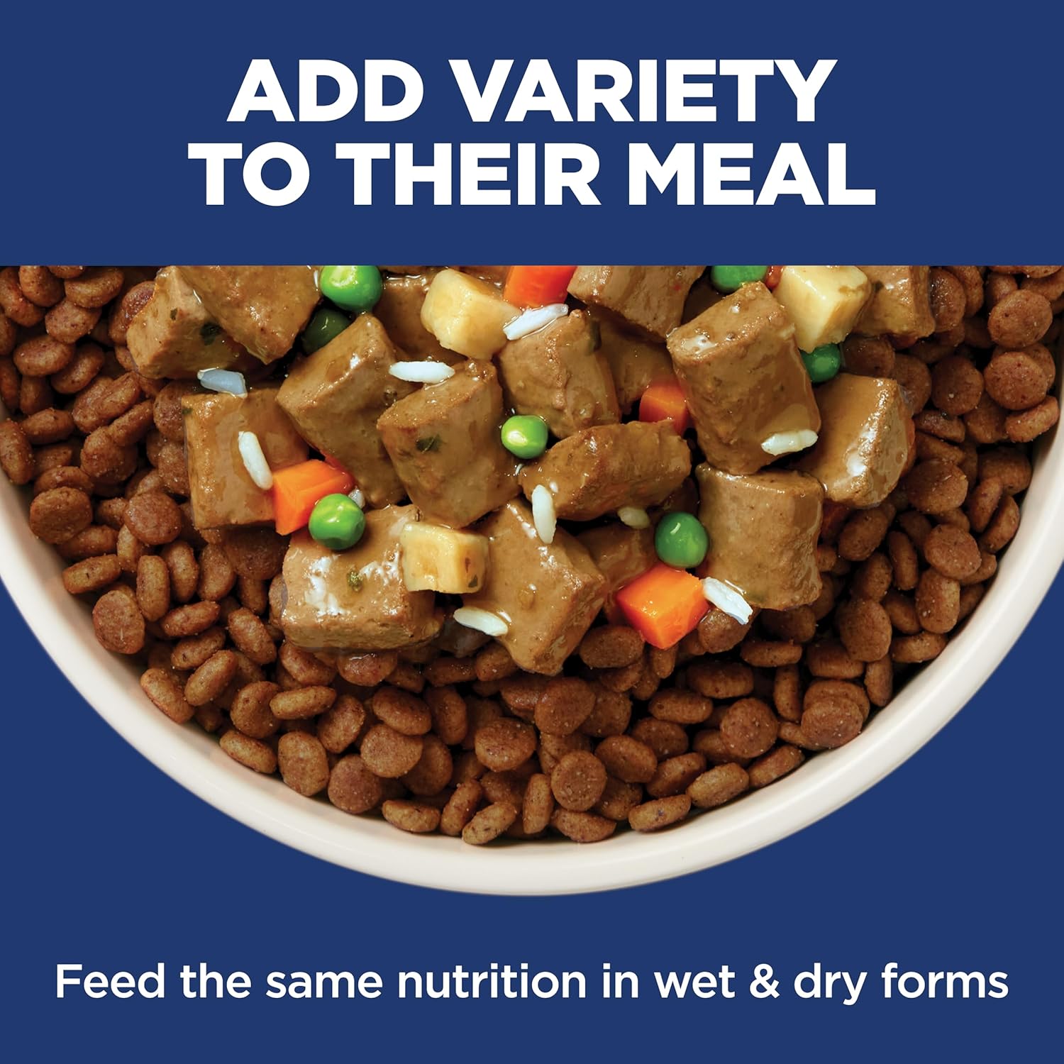 Hill's Science Diet Sensitive Stomach & Skin Small Bites Dry Dog Food – Daily Digestive Wellness Formula for Small Breed Adults, Chicken Recipe, 4 lb Bag