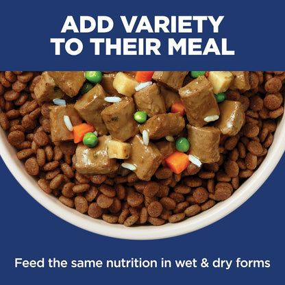 Hill's Science Diet Sensitive Stomach & Skin Small Bites Dry Dog Food – Daily Digestive Wellness Formula for Small Breed Adults, Chicken Recipe, 4 lb Bag