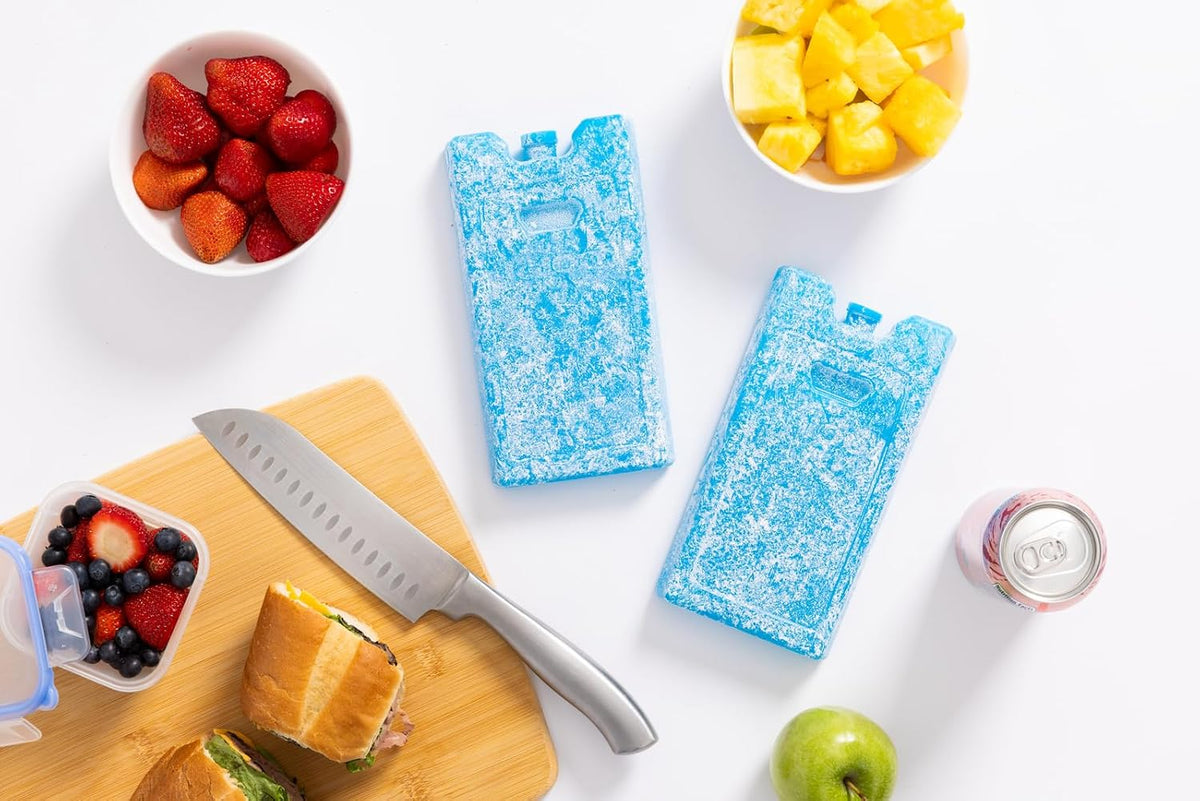 Igloo Maxcold Freezer Pack – Long Lasting Ice Blocks for Tailgating, Picnics, and Beach Days