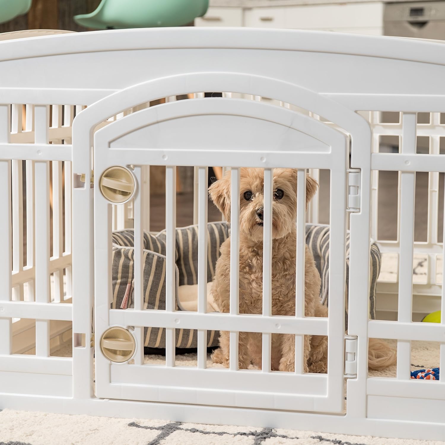 IRIS USA 24" Dog Playpen with Door, 4-Panel Small Dog Playpen, Birthday Gift for First-Time Dog Owners