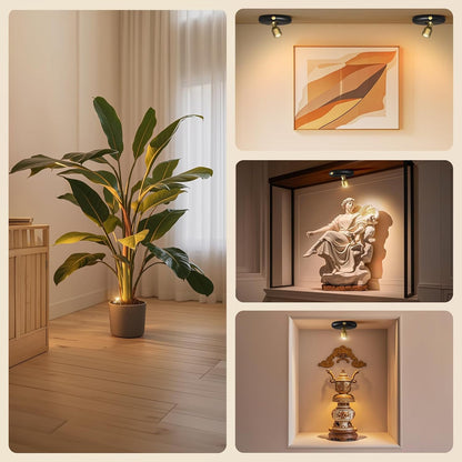 LUMIORA Wireless Mini Uplight for Houseplants and Bookcase Alcove Decor, Warm 3000K Battery Spotlight with Remote