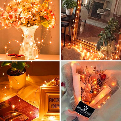LumNest Copper Wire String Lights – Headboard Canopy Glow, 66ft Dimmable Indoor Decor
