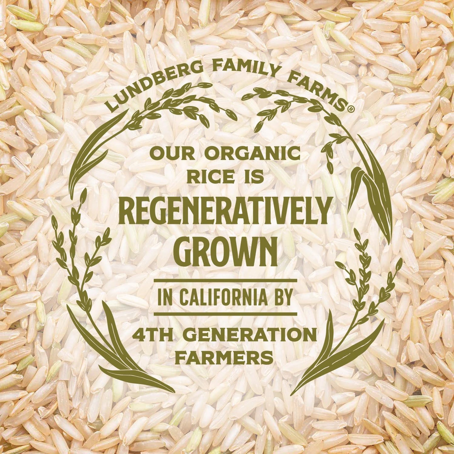 Lundberg Organic Brown Basmati – Triple-Certified Rice for Allergen-Aware Families