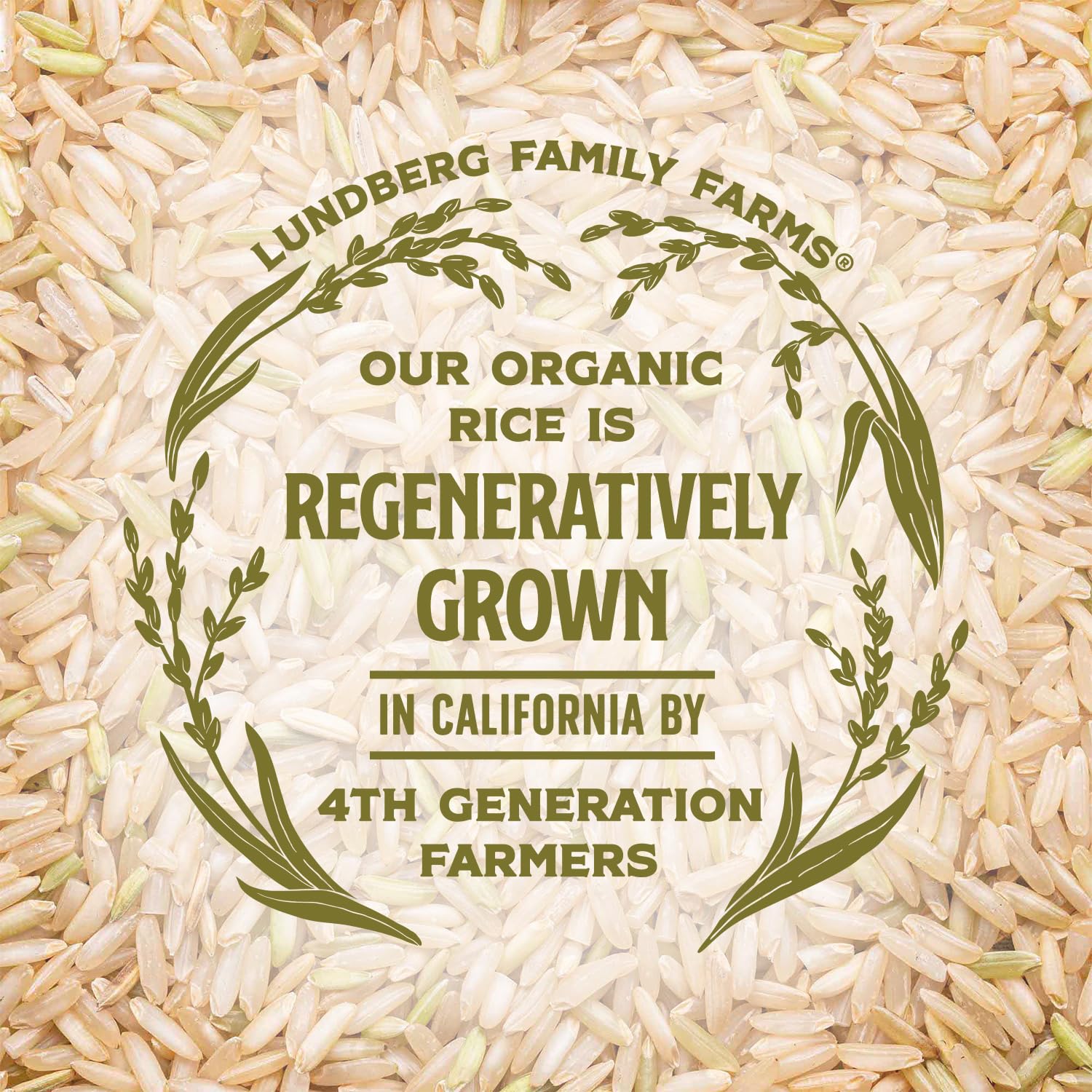 Lundberg Organic Brown Basmati – Triple-Certified Rice for Allergen-Aware Families