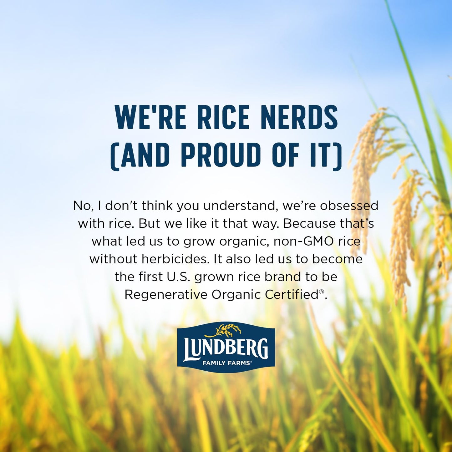 Lundberg Organic Brown Basmati – Triple-Certified Rice for Allergen-Aware Families