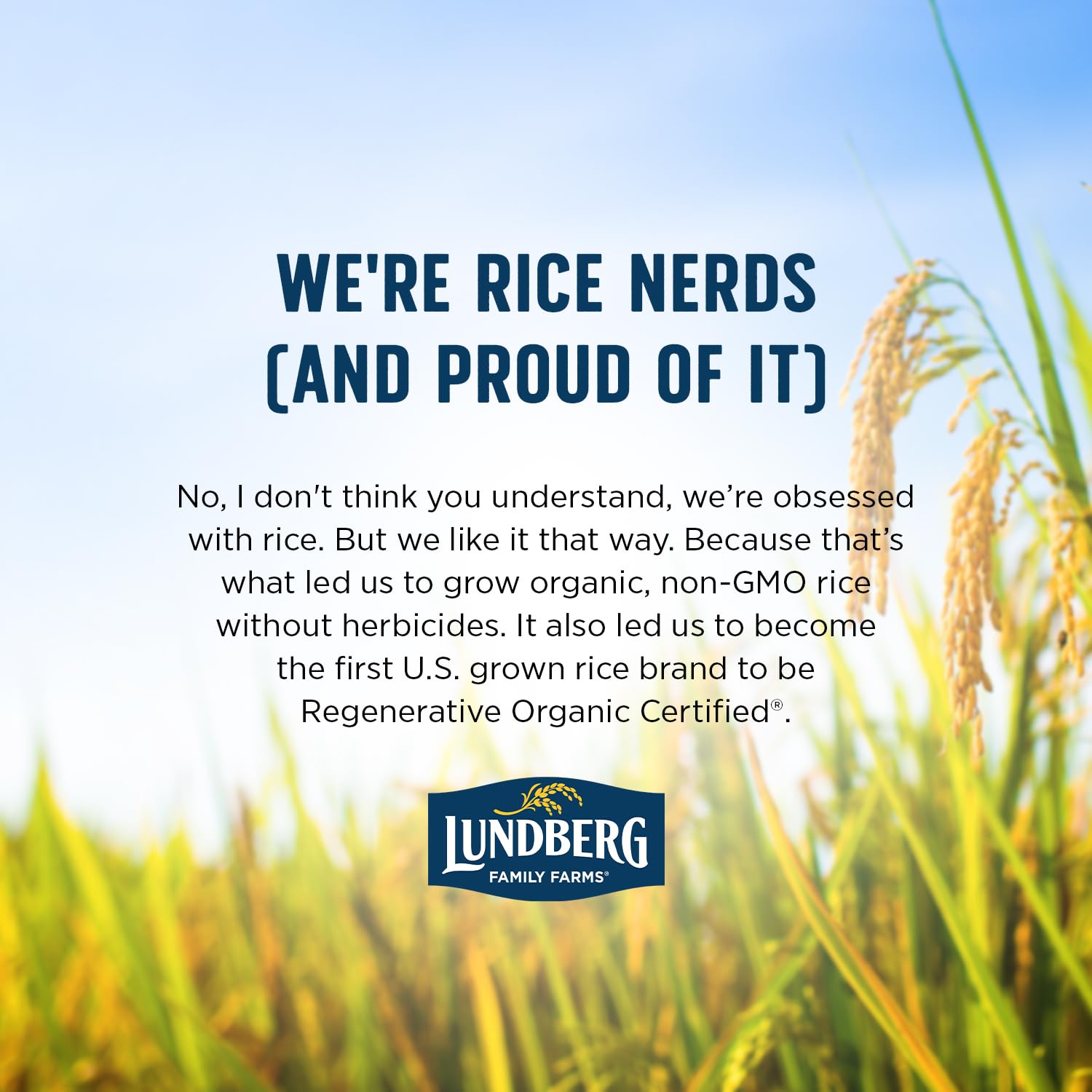 Lundberg Organic Brown Basmati – Triple-Certified Rice for Allergen-Aware Families