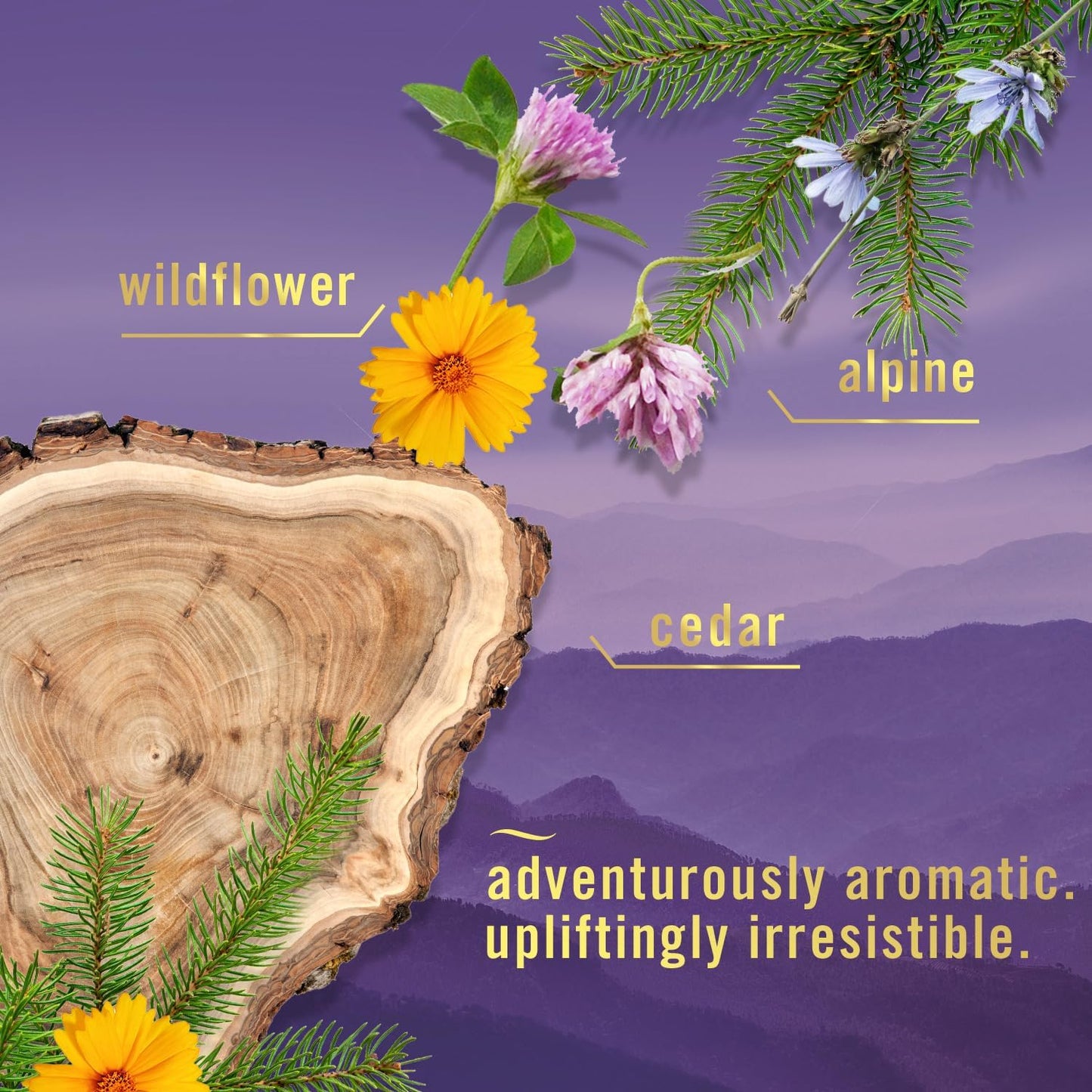 luxe layered scent blend (alpine, wildflower, cedar in mountain variant)