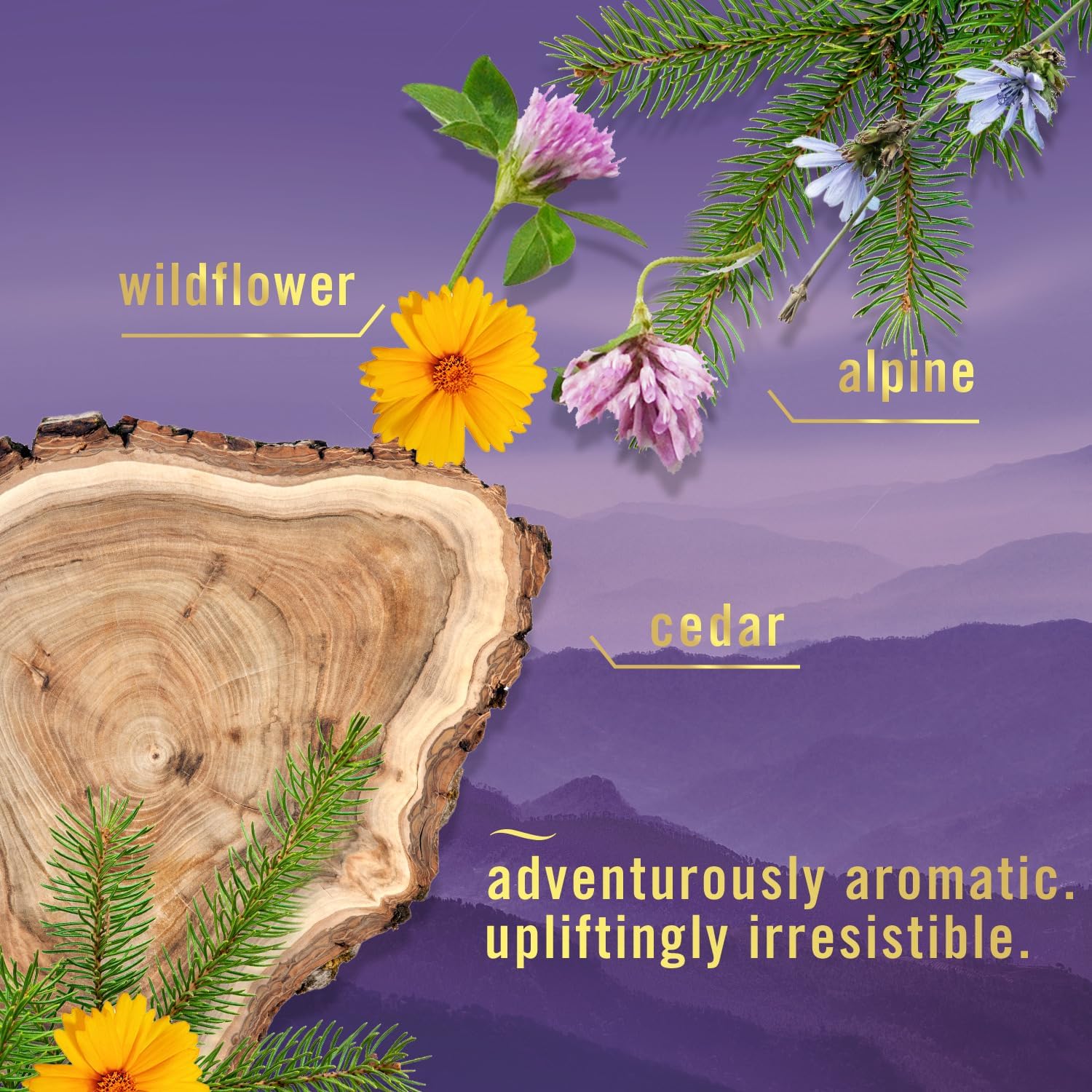 luxe layered scent blend (alpine, wildflower, cedar in mountain variant)