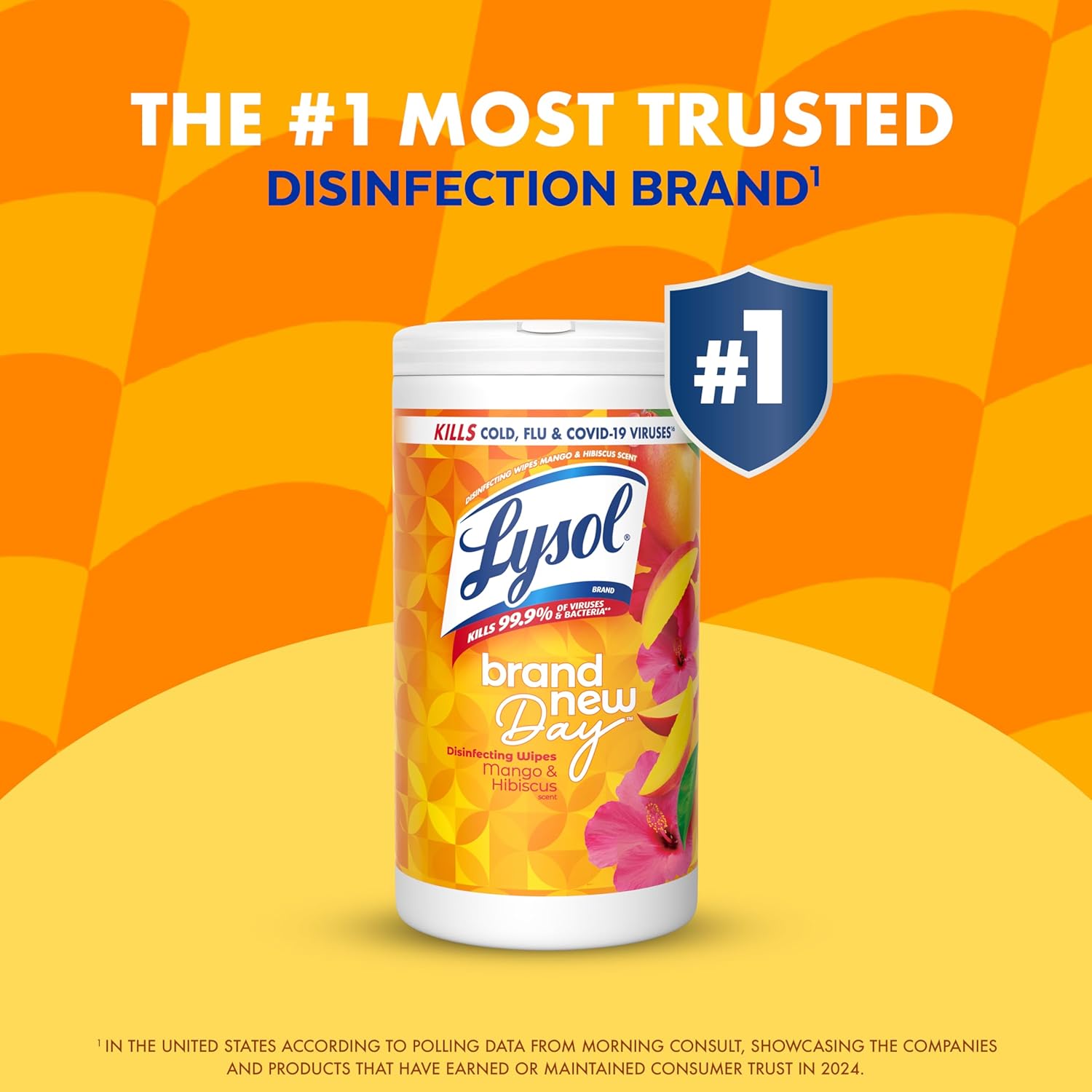 Lysol Disinfecting Wipes Bundle – Pet and Kid Safe Daily Disinfectant for Kitchen Counters and Bathroom Surfaces