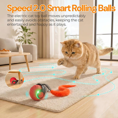MeowPals Zoomies Robot Cat Toy – Rechargeable Battery with Auto Shutoff, No Cord Chewing Hazard