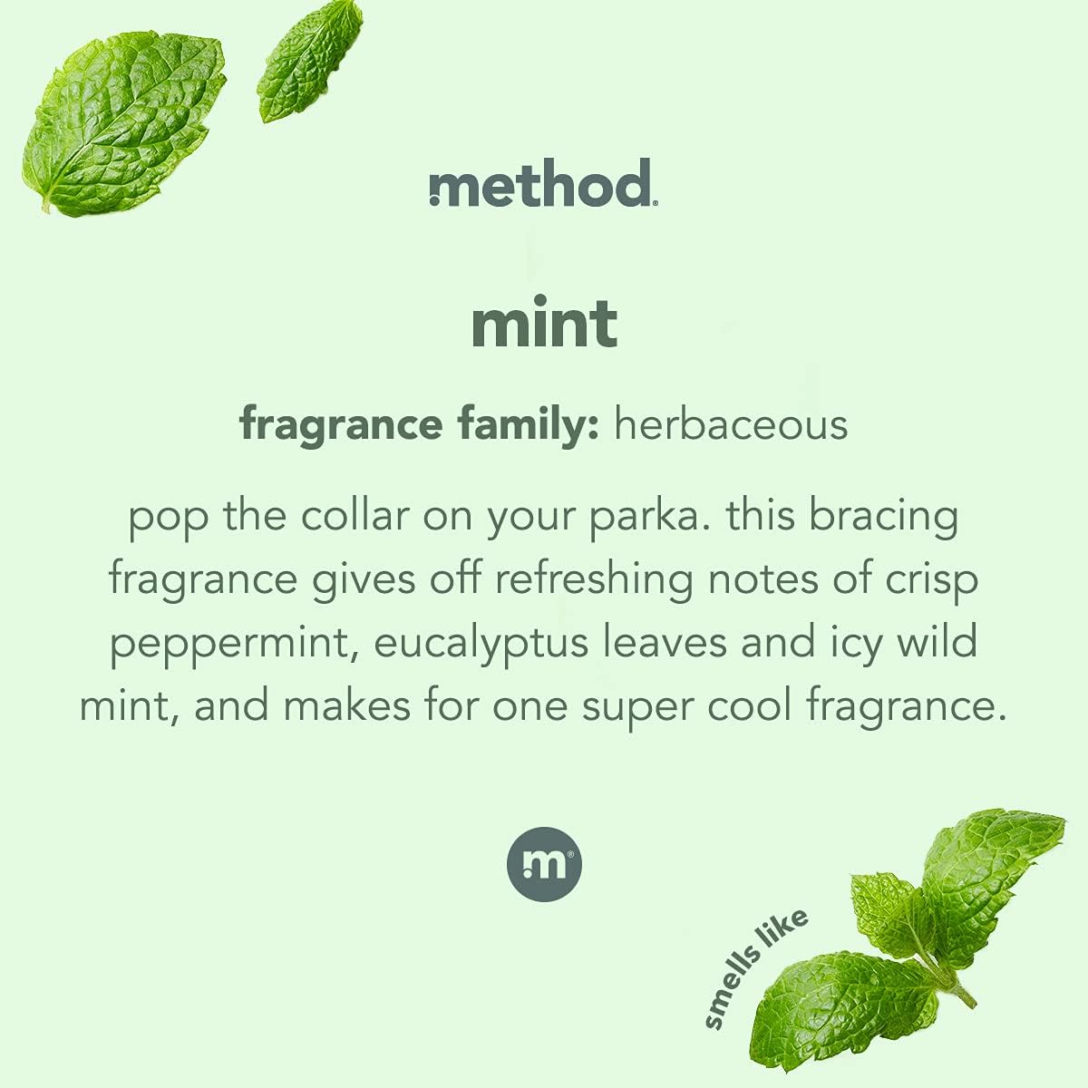 mint leaf fragrance with notes of wild mint, peppermint, and eucalyptus