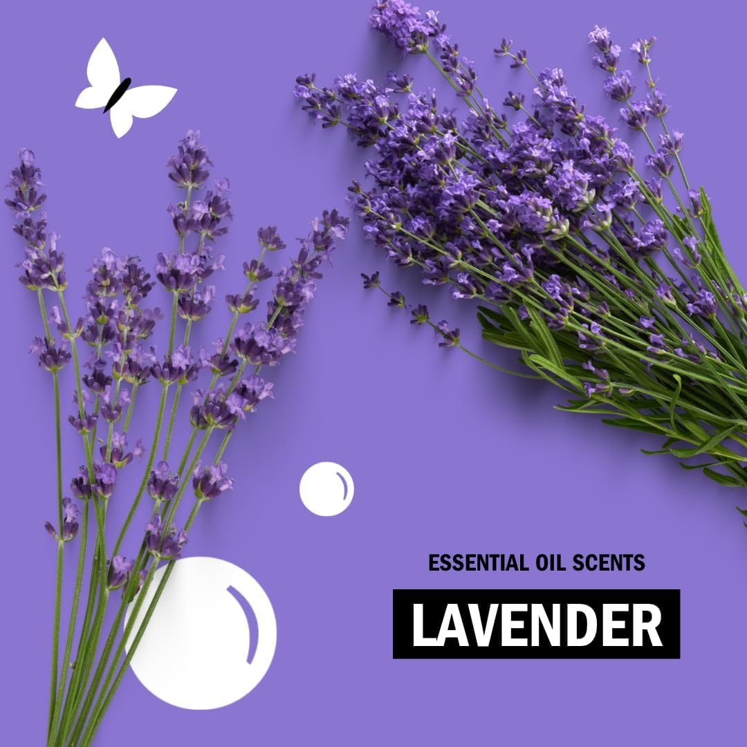 Molly's Suds Dryer Sheets for Sensitive Skin — Lavender Plant-Based Fabric Softener for a Calming Bedtime Routine