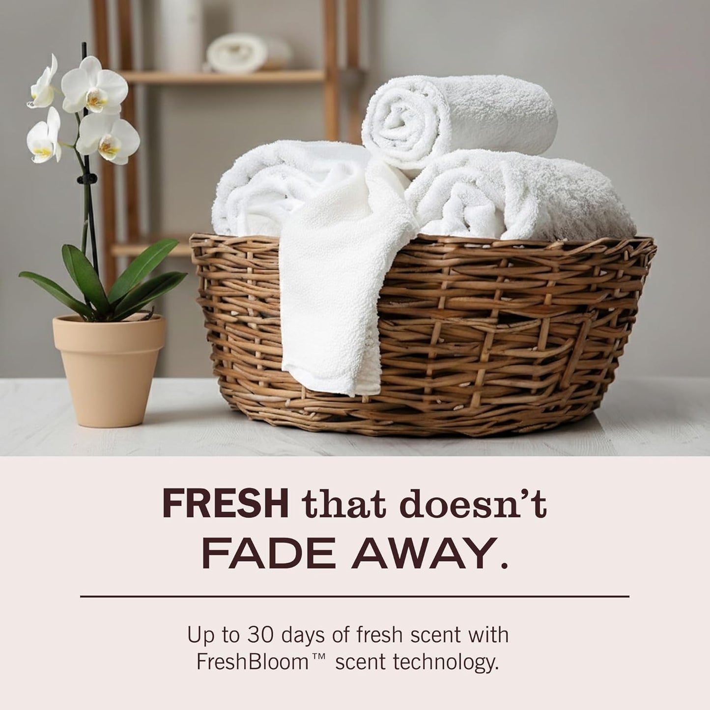 MRS. MEYER'S CLEAN DAY Laundry Detergent – Honeysuckle Wellness Ritual for Mindful Home Care