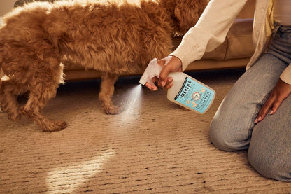 Mrs. MEYER'S CLEAN DAY Pet Stain & Odor Fighter – Living Room Reset Spray for Self-Care Sundays