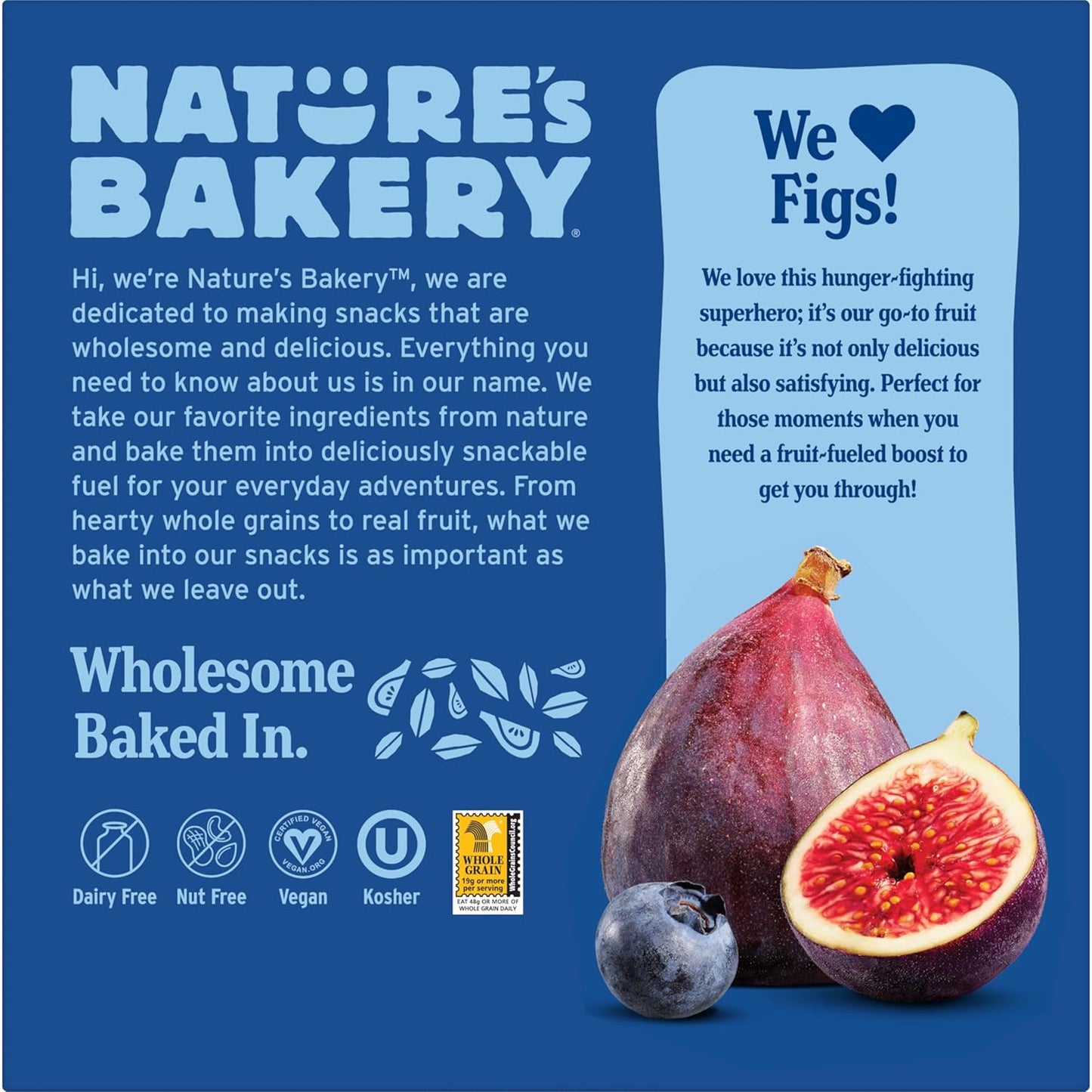 Nature's Bakery Blueberry Fig Bars - Clean Label Whole-Fruit Snack for Mindful Eating, Twin Pack