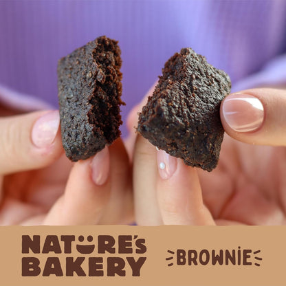 Nature's Bakery Double Chocolate Brownie Bars – Nut-Free Lunchbox Snack for School-Age Kids, Plant-Based Twin Packs