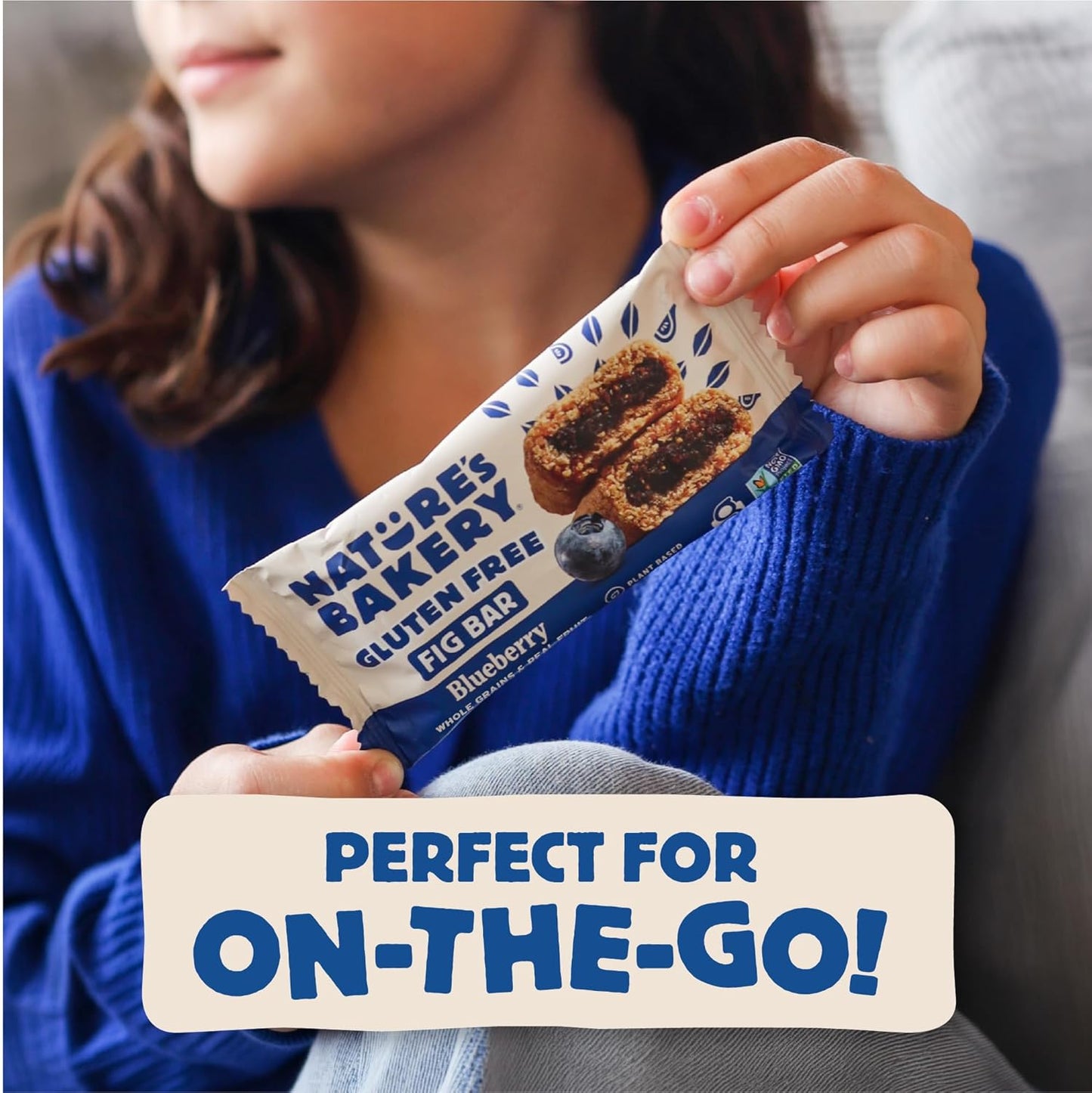 Nature's Bakery Gluten Free Fig Bars – School Lunchbox Snack for Kids with Allergies
