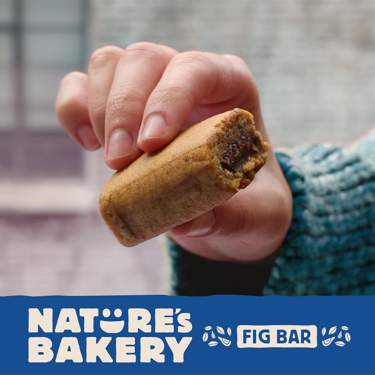 Nature's Bakery Gluten Free Fig Bars – School Lunchbox Snack for Kids with Allergies