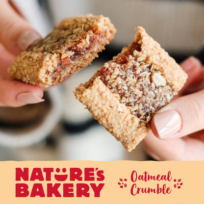 Nature's Bakery Vegan Oatmeal Crumble Bars for Plant Based Diets – Real Fruit Strawberry Snack, 12 Count