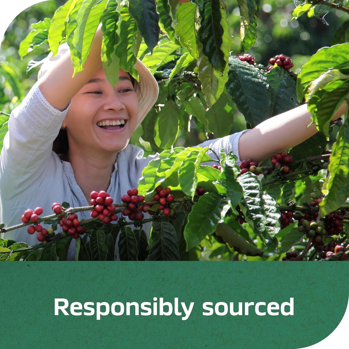 Nescafé Clasico Decaf Instant Coffee – Lightweight Camping and Hotel Coffee for Travelers and RVers