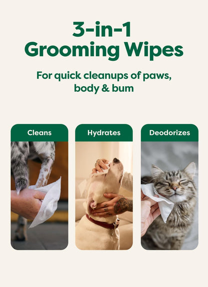 odor-fighting formula with optional white tea & basil, lavender, wild oat, or unscented scents