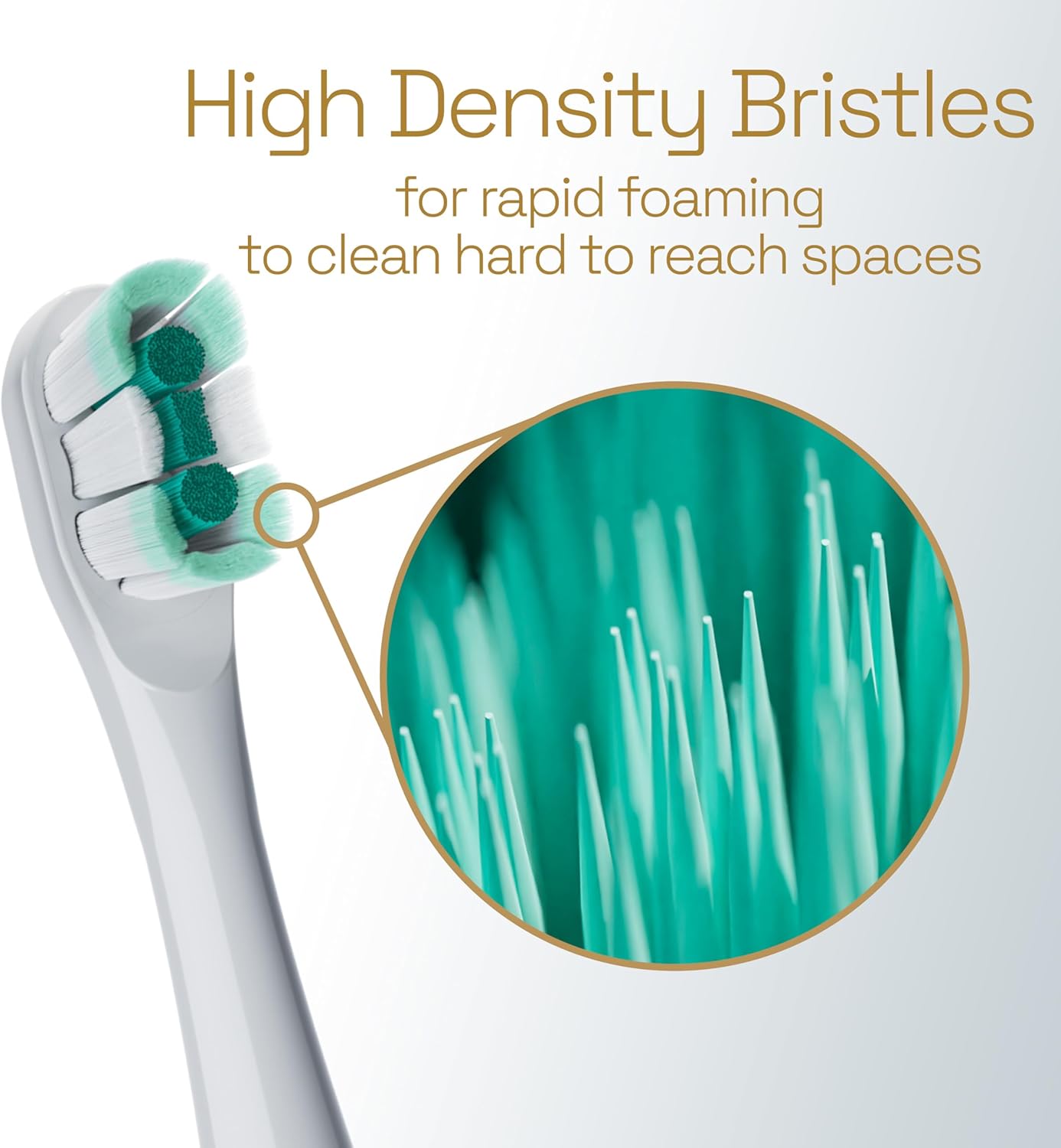 oscillating brush head motion for plaque removal versus a manual toothbrush