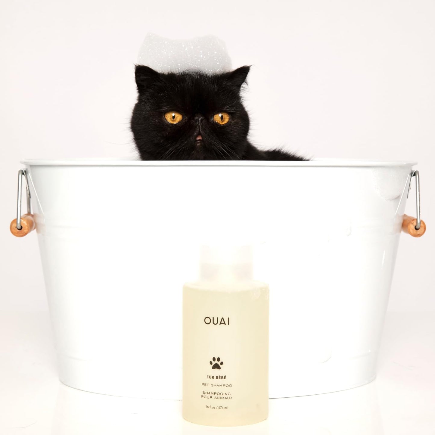 OUAI Fur Bébé Pet Shampoo - Prestige Spa-Grade Cleanser for Pampered Cats and Dogs, Mercer Street Signature Scent (16 Fl oz)