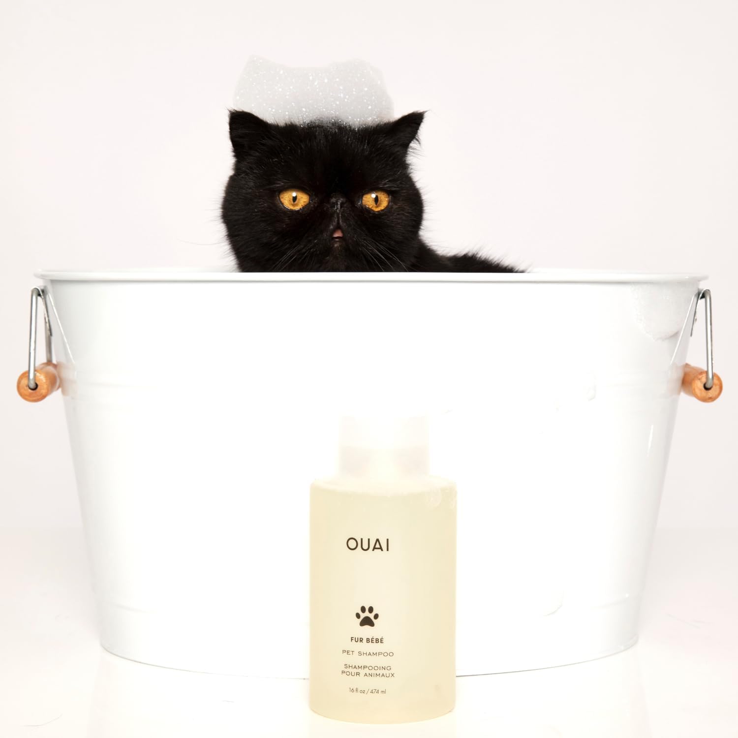 OUAI Fur Bébé Pet Shampoo - Prestige Spa-Grade Cleanser for Pampered Cats and Dogs, Mercer Street Signature Scent (16 Fl oz)